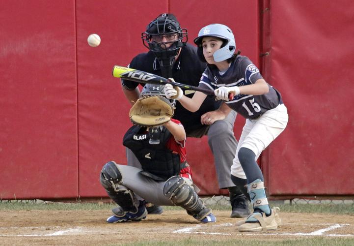 Coach Pitch, Little League wrap up tournament championships - The Mountain  Citizen