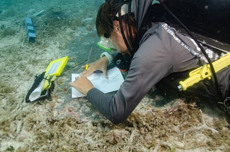 Clarks Summit native makes career-defining underwater discovery at Dry Tortugas