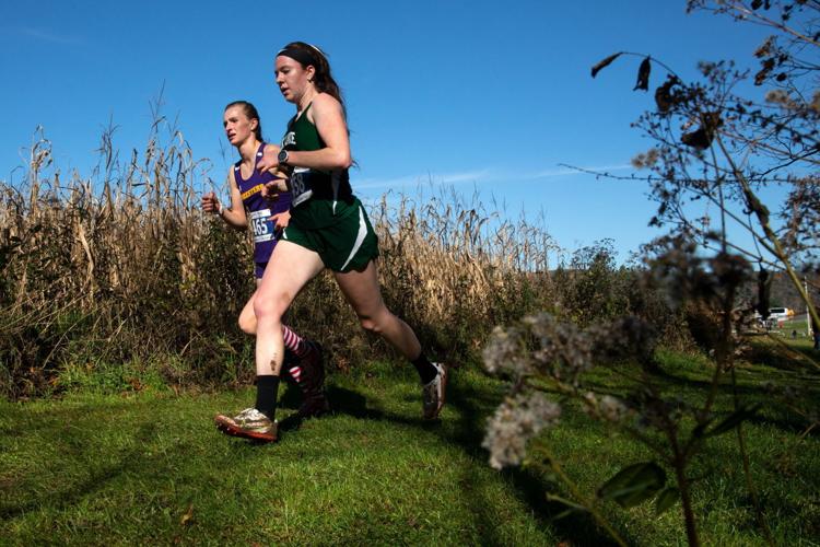 DISTRICT 2 CROSS COUNTRY Elk Lake's Jones reclaims gold in Class 1A