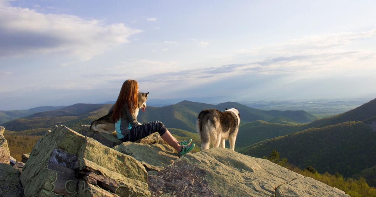 Shenandoah, Virginia: Beyond scenic outdoor adventures, region offers cuisine and wine for every taste | Destinations