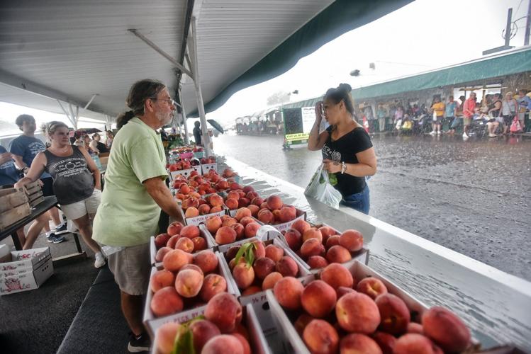 Farmers market opens in Scranton