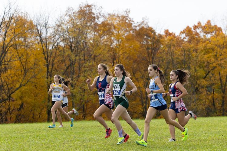 DISTRICT 2 CROSS COUNTRY Abington Heights, Montrose girls win team