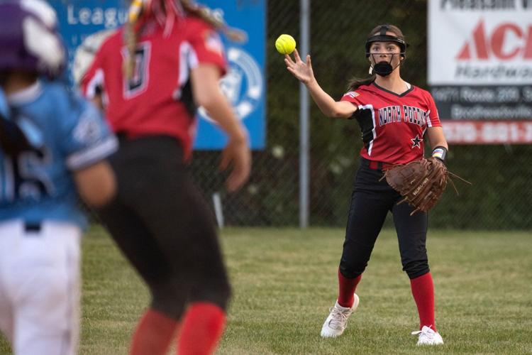 Little League Softball: North Pocono claims Section 5 title over Back  Mountain