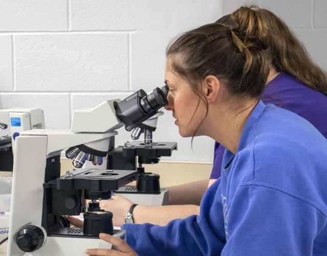 Veterinary science boasts 100 percent acceptance rate from students