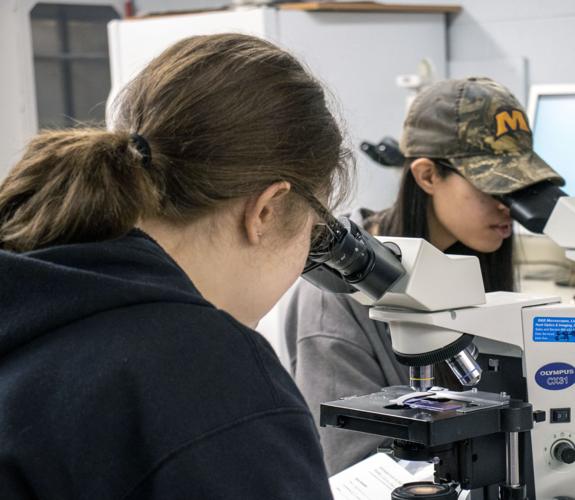 Veterinary science boasts 100 percent acceptance rate from students