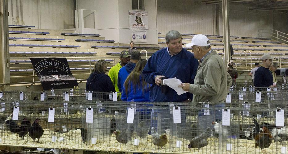People flocked to the Morehead State Farm's 1st annual poultry show