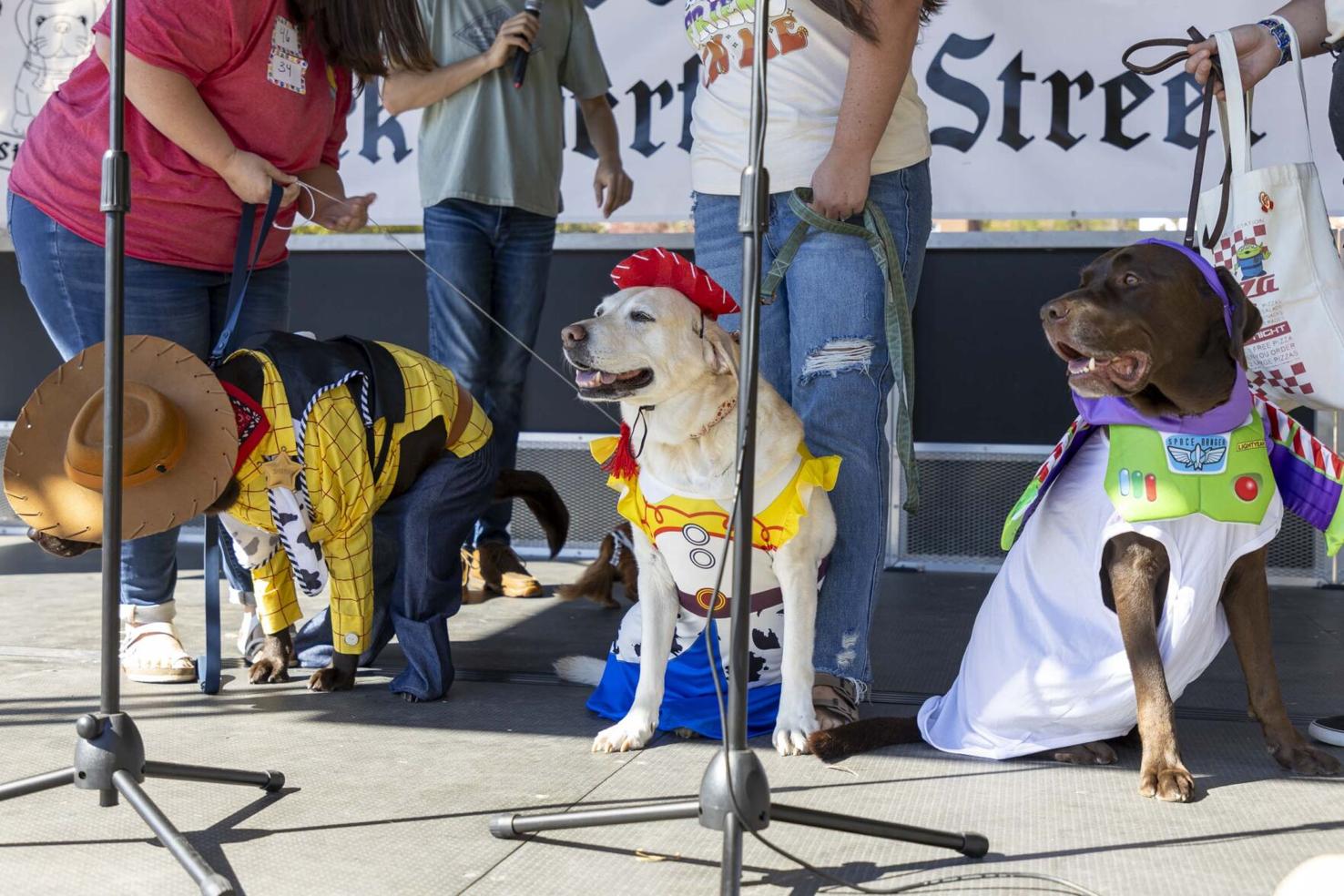 Barktoberfest Street Fair