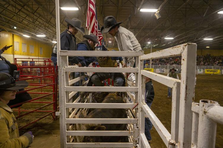The cowboy spirit returns to Morehead | Gallery | thetrailblazeronline.net