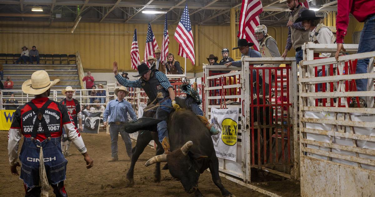 Matt Reeves Rodeo And Rattle Rodeo stars compete in an ultimate showdown | Life & Arts ...
