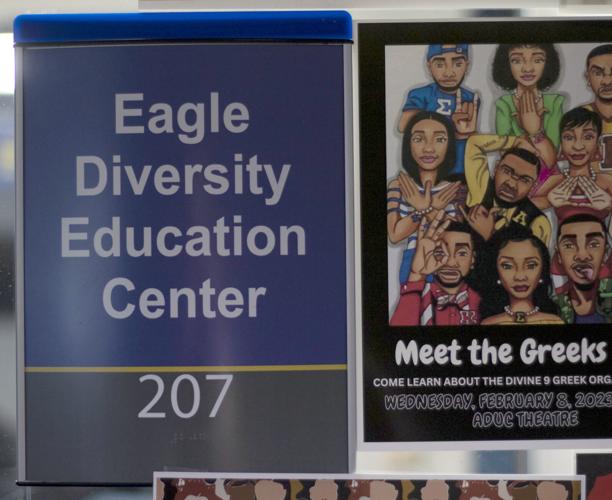 Diversity Center