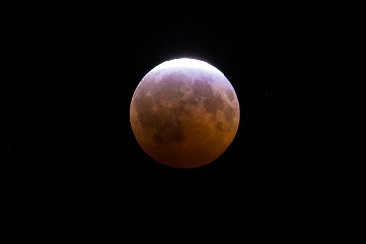Opinion: My night with the eclipse and friends | Opinion ...