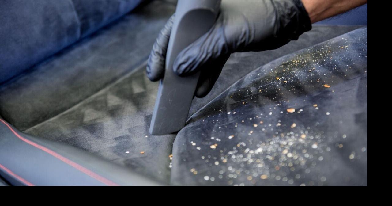 How to Get Dog Hair Out of Your Car Without Losing Your Mind | Lifestyle