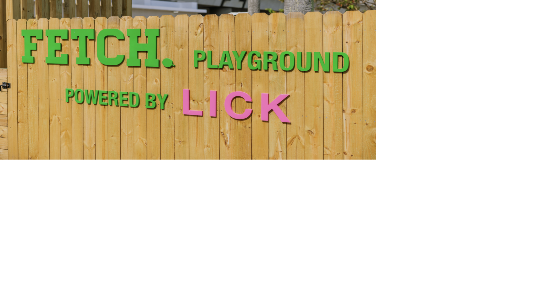Fetch pet playground opens in San Juan | Lifestyle
