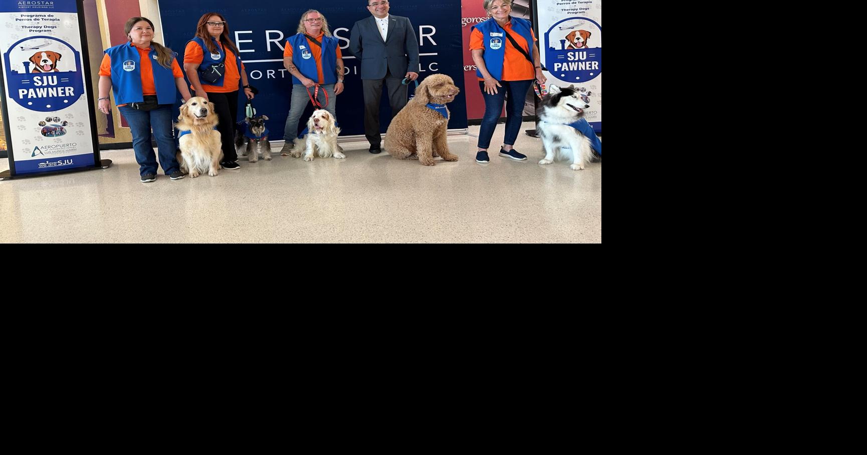 Luis Muñoz Marín Airport integrates therapy dogs into its customer service | Lifestyle