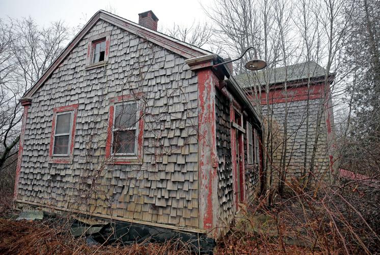 PHOTOS Life after people at North Stonington property North