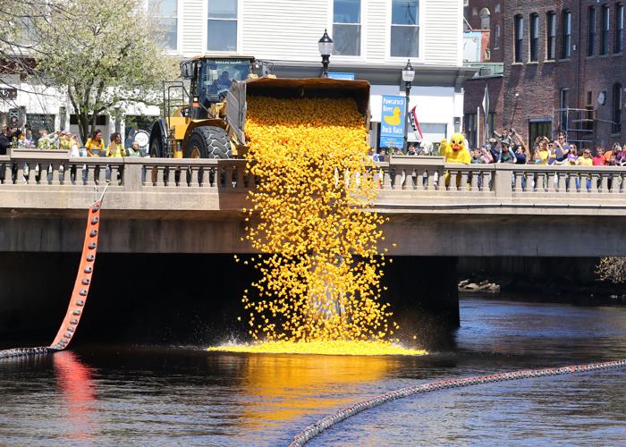 PHOTOS The Pawcatuck River Duck Race takes off Dailynewsalerts