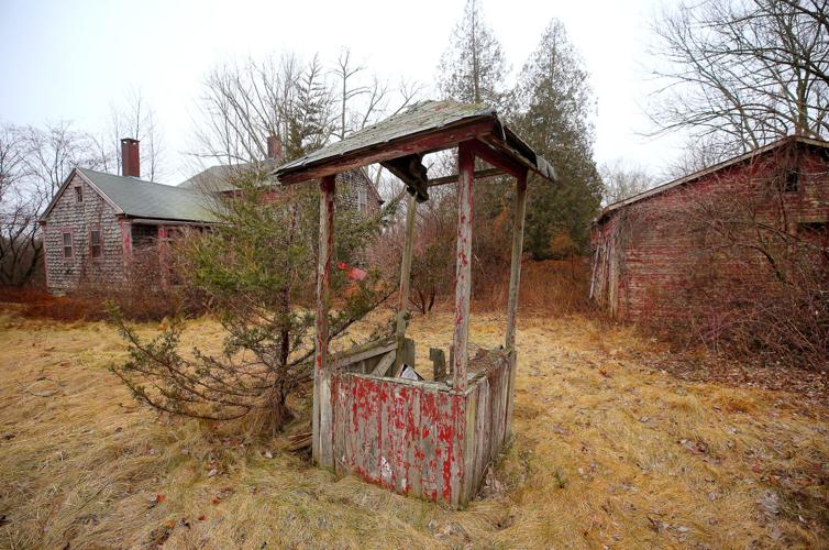 PHOTOS Life after people at North Stonington property North