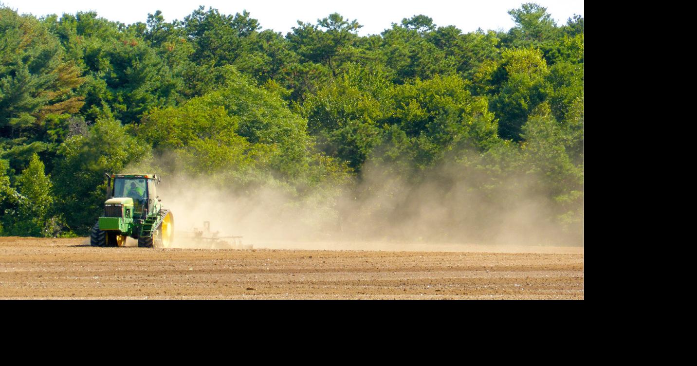 Stirring up that summer dust Stirring up that summer dust News