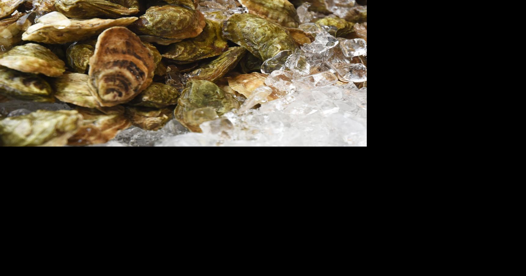 Oysters: A love letter