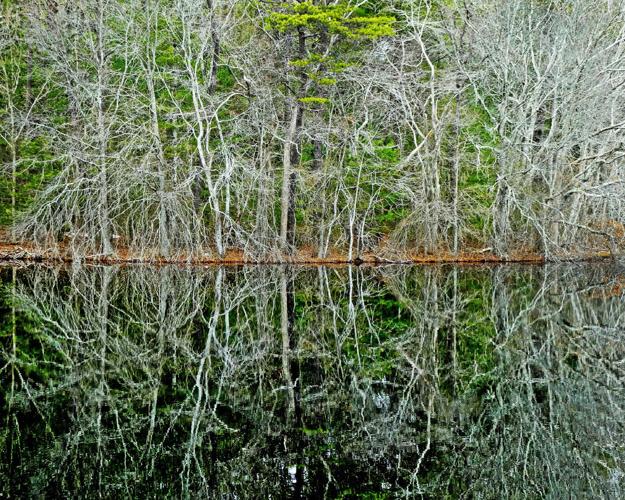 PHOTO Meadow Brook Pond was in a reflective mood Tuesday News