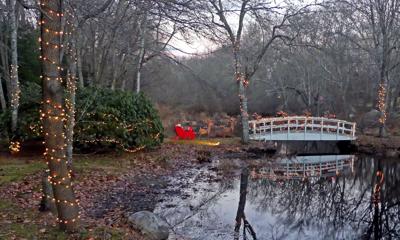 113018 WES Xmas bridge WH Road hh 2.JPG