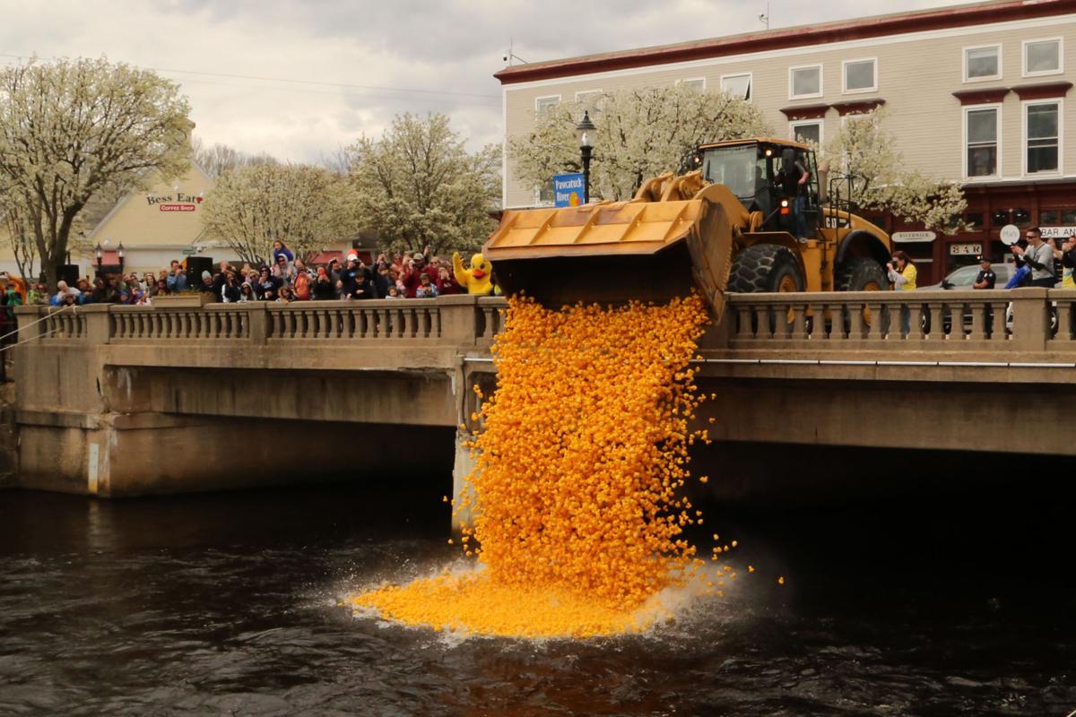 PHOTOS Ducks make a splash in Pawcatuck at 21st annual river race