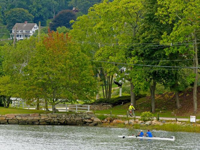 Rowing down the river News