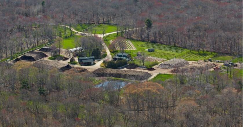Charlestown Farm Day returns for second year, highlighting local agriculture