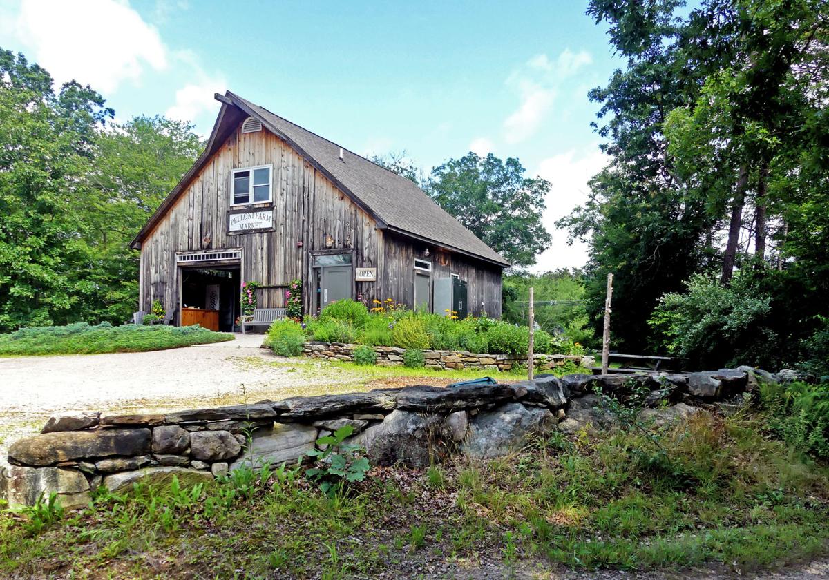 Farm scavenger hunt showcases Rhode Island Growers Richmond