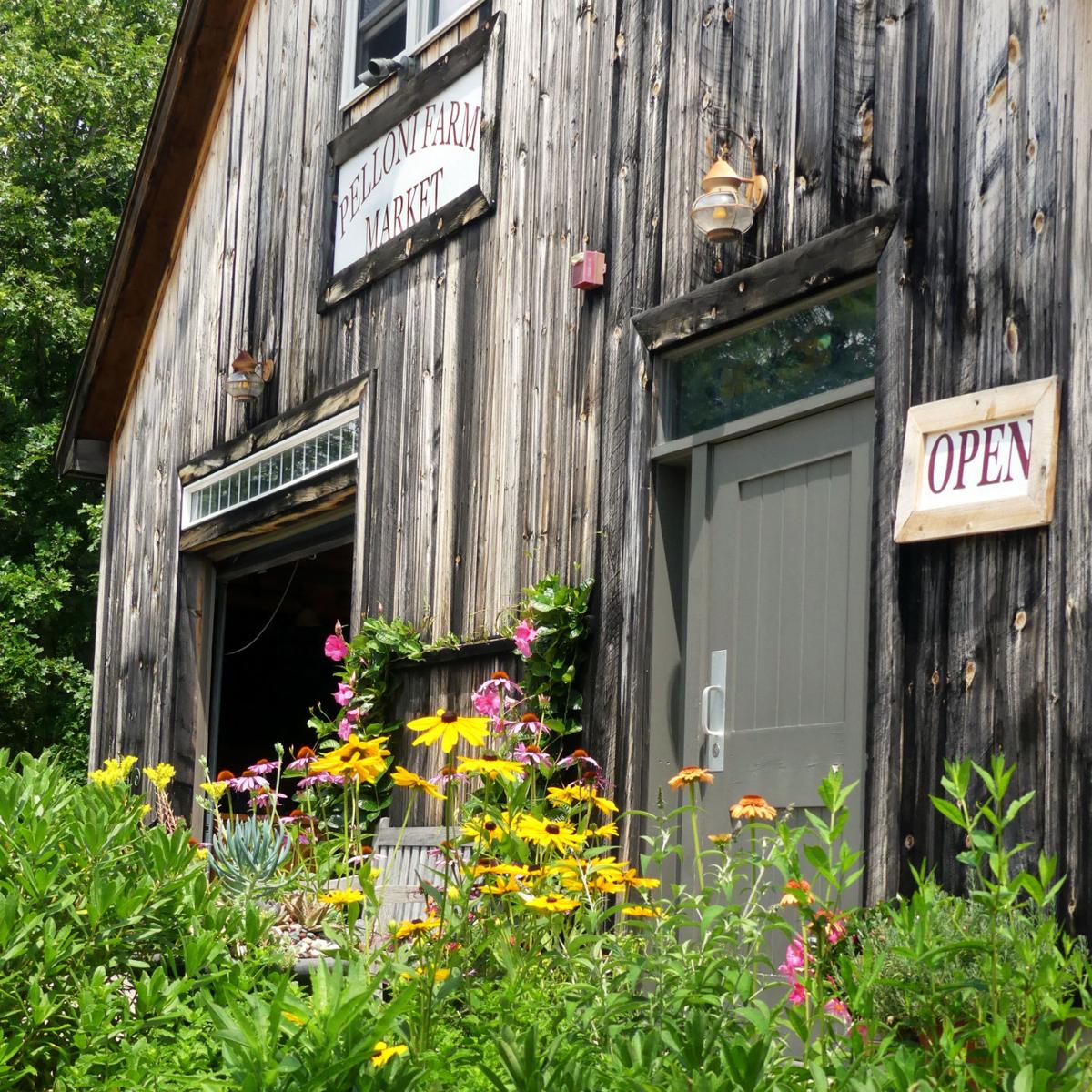 Farm scavenger hunt showcases Rhode Island Growers Richmond