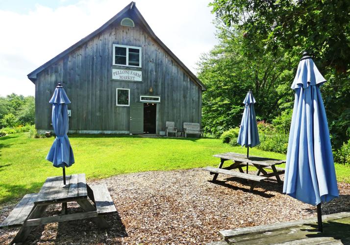 Farm scavenger hunt showcases Rhode Island Growers Richmond