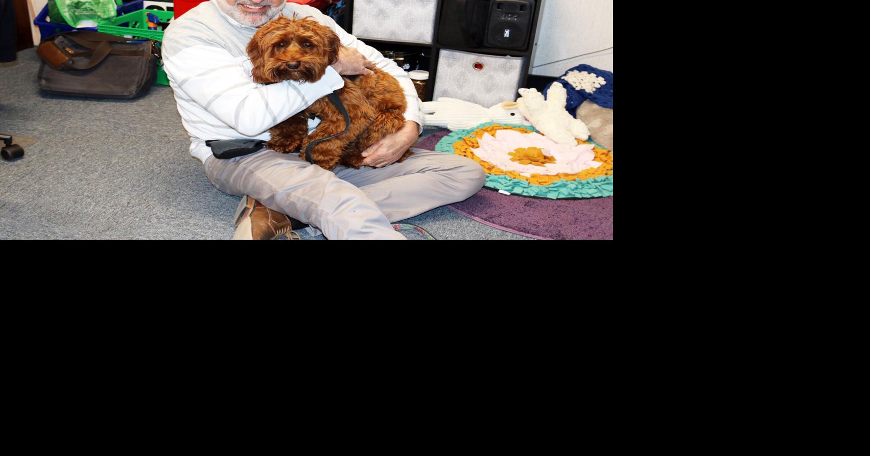 Hope the therapy dog offers love, support and comfort to Chariho Middle School students | Richmond & Hopkinton