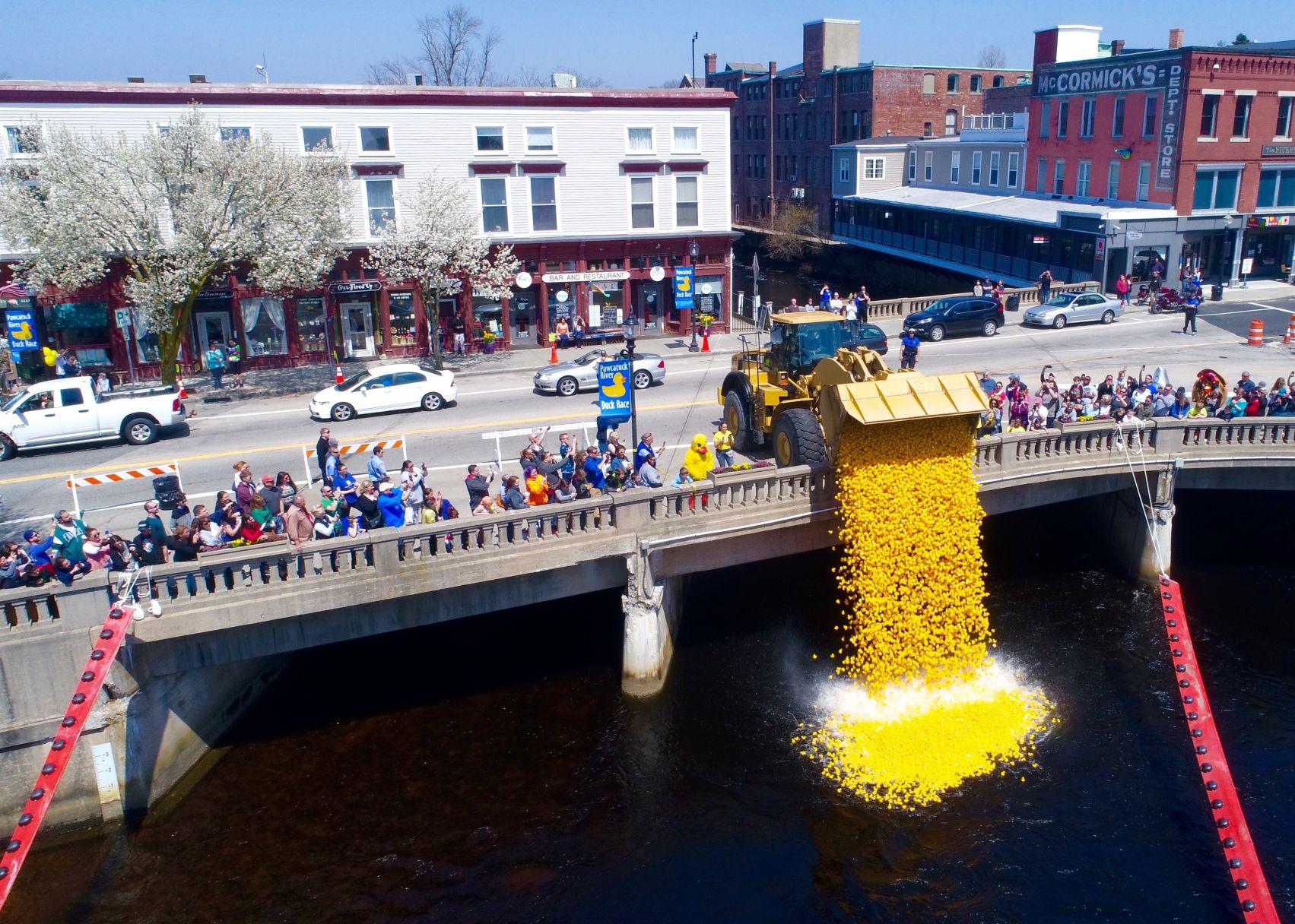 Quack Quack, the Duck Race is back Entertainment