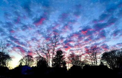 012120 WES treeline sunset purple hh01.jpg