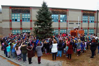 Springbrook School tree