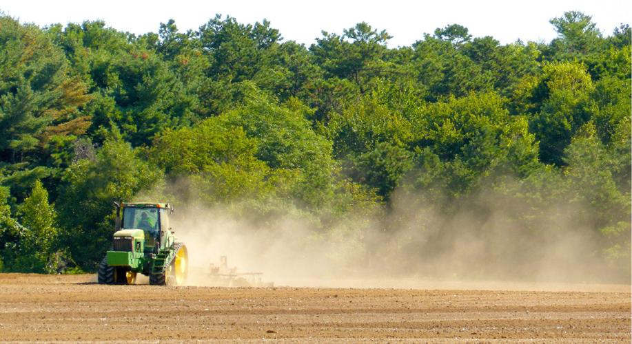 Stirring up that summer dust Stirring up that summer dust News