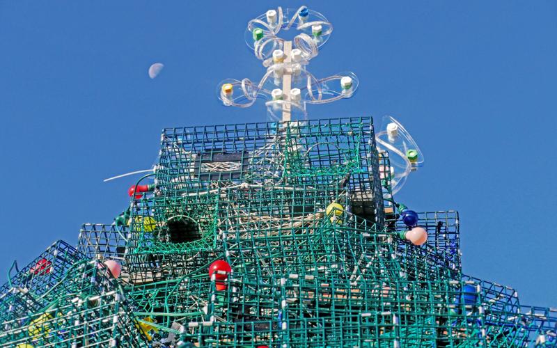 PHOTOS Moon over Lobster Trap Tree Stonington