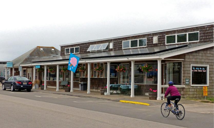 Fire district prefers pickets over panels at St. Clair News