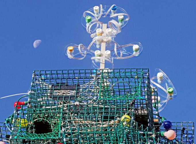 PHOTOS Moon over Lobster Trap Tree Stonington