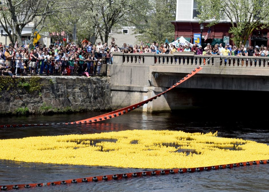 Pawcatuck River Duck race celebrates 20 years