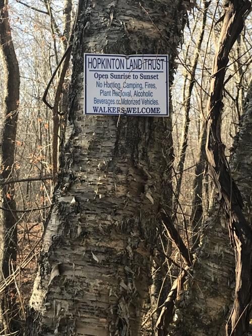Land Trust damage