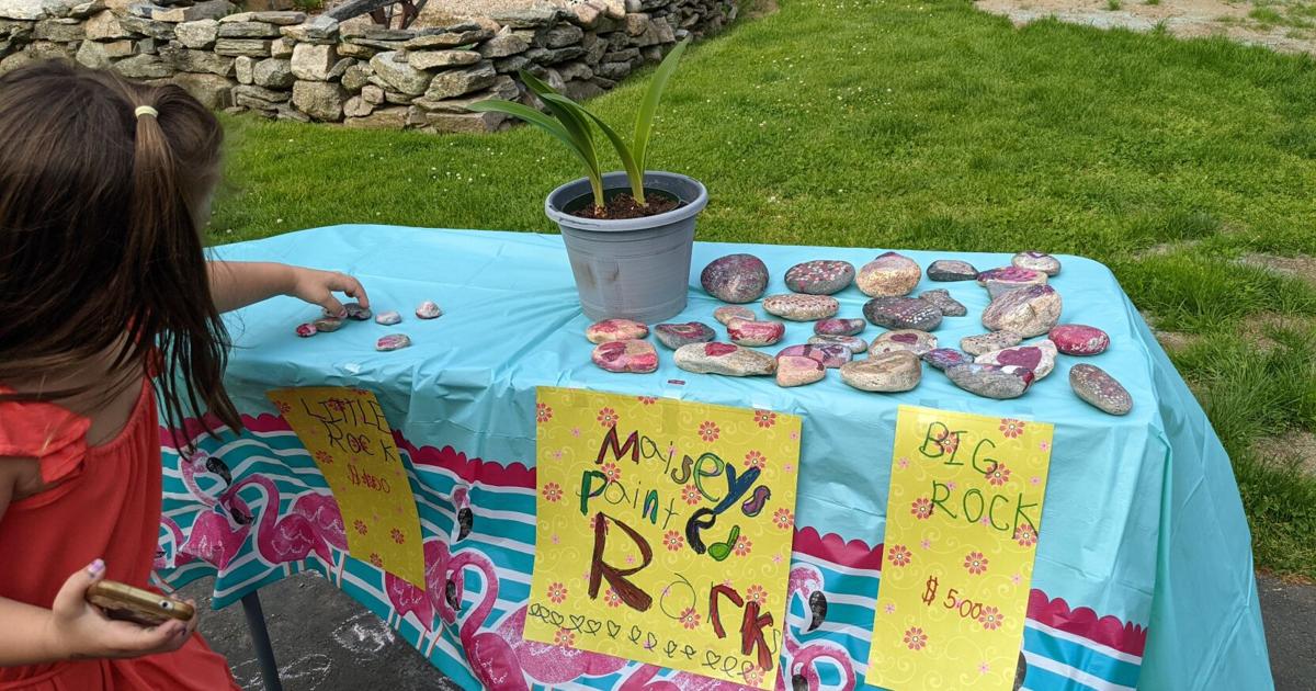 Mrs. Hoffman's students make markets at Springbrook School | Front ...