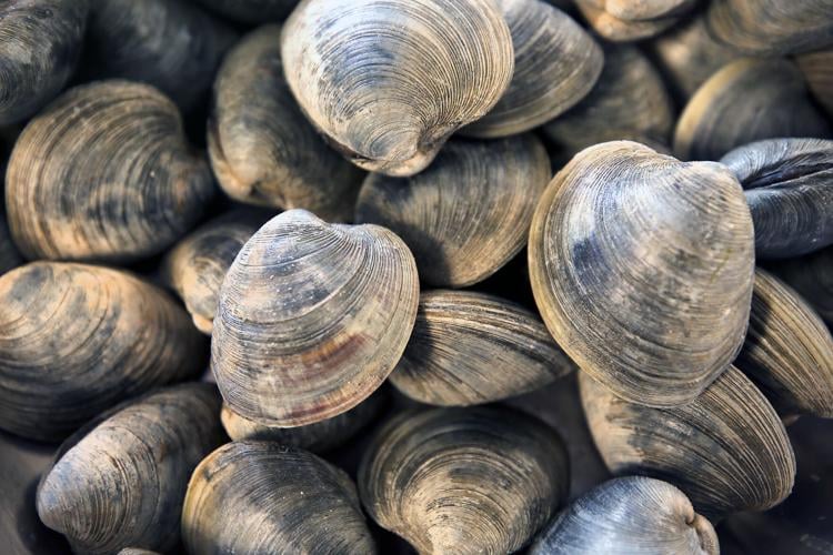 Keeping it fresh Fresh Harvest Kitchen provides cooperative home for