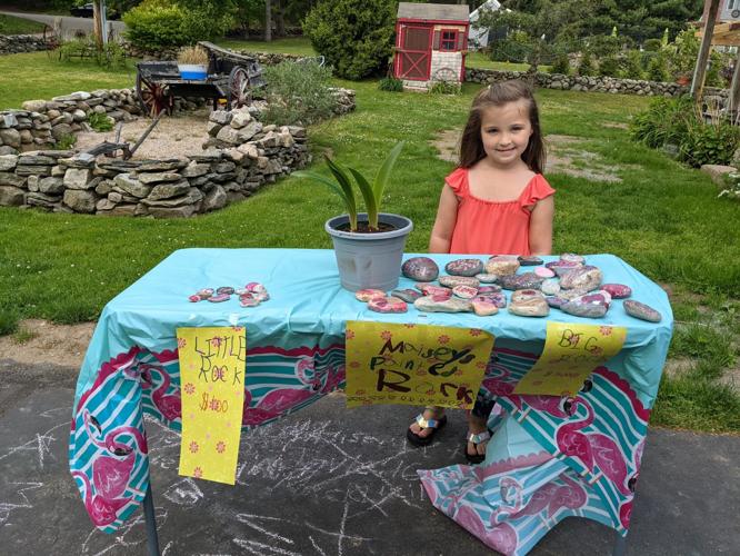 Mrs. Hoffman's students make markets at Springbrook School | Front ...