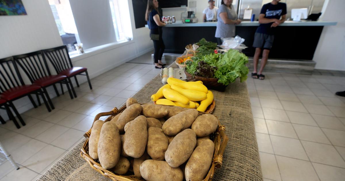 Frisch bleiben: Die Fresh Harvest Kitchen bietet lokalen Fischern ein genossenschaftliches Zuhause | Westlich Frisch bleiben: Die Fresh Harvest Kitchen bietet lokalen Fischern ein genossenschaftliches Zuhause | Westlich