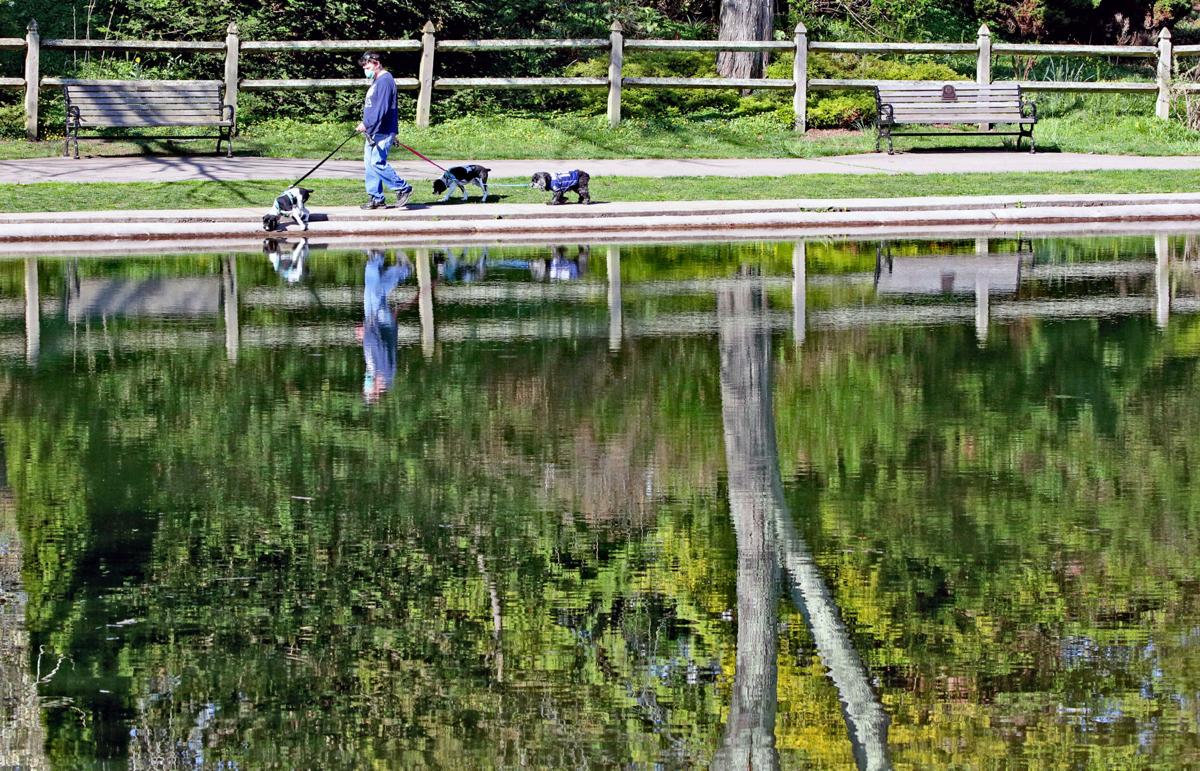 Photos Taking The Dogs For A Walk In Wilcox Park Westerly Thewesterlysun Com