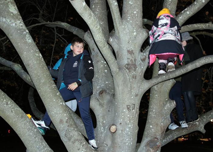 PHOTOS Stonington Stroll and treelighting Stonington