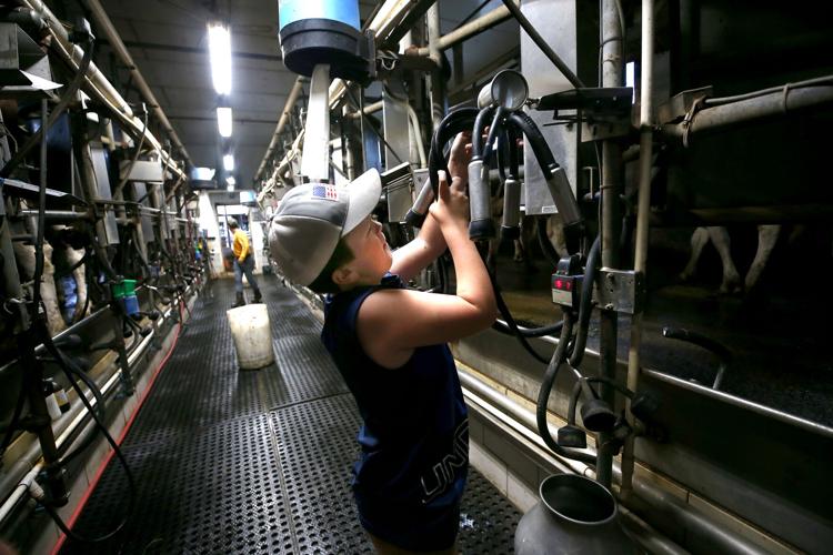 PHOTOS: Twilight at Beriah Lewis Farm | North Stonington ...