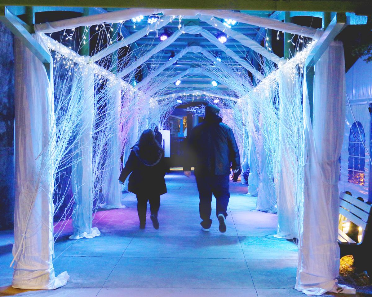 Photos Northern Lights Exhibit Opens At The Mystic Aquarium Stonington Thewesterlysun Com