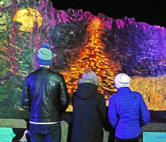 PHOTOS Northern Lights exhibit opens at the Mystic Aquarium News